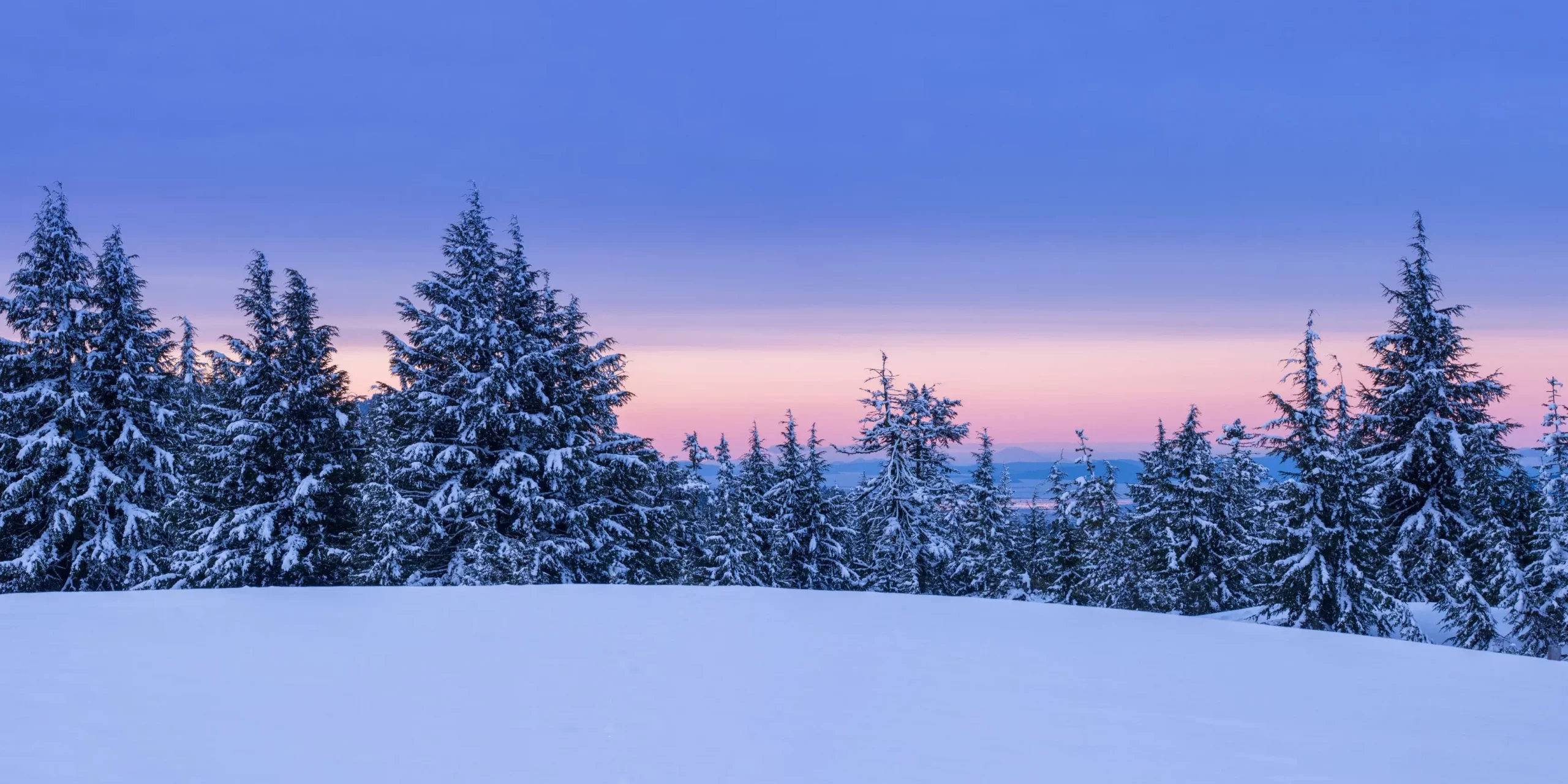 Magical Finnish winter