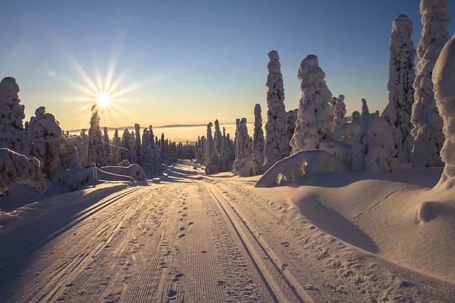 Explore the magical Finnish winter