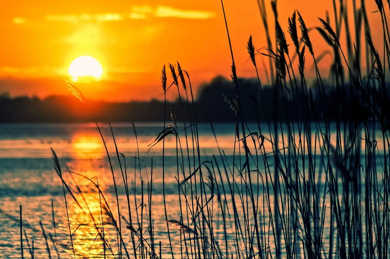 Sunset view from a Finnish lake.