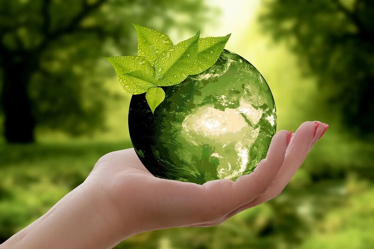 A hand holding a green ball with a green, forest-like background